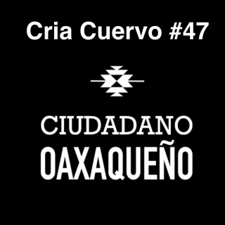 Oaxaca en el Micrófono: Entrevista con el Maestro del Freestyle | @CriaCuervo | Ciudadano Oaxaqueño #47