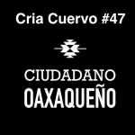 Oaxaca en el Micrófono: Entrevista con el Maestro del Freestyle | @CriaCuervo | Ciudadano Oaxaqueño #47