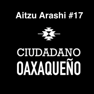 Que implica ser una Vtuber | Aitzu Arashi | C.Oaxaqueño #17