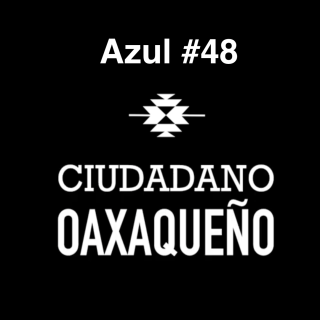 Rap Raíces: El Camino de la Escena Oaxaqueña | @StyloAzulPioneros | Ciudadano Oaxaqueño #48