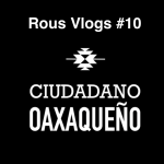 Viajes y preguntas en la calle | Rous Vlogs | C.Oaxaqueño #10